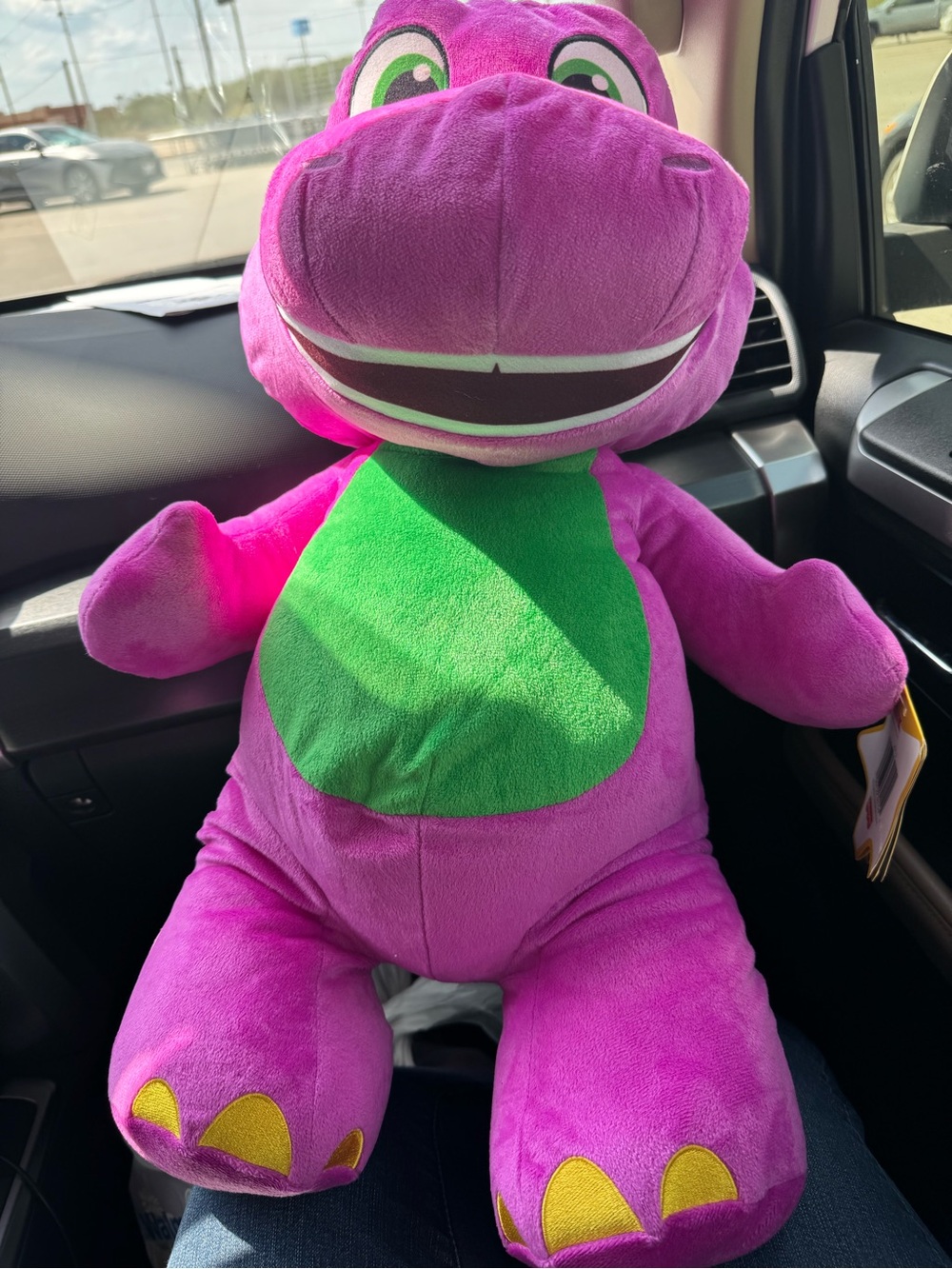 Fisher-Price Purple & Green Dinosaur Plush with Yellow Toe Accents